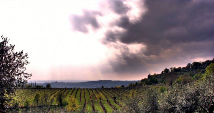 Arrica la tempesta di reptilegt