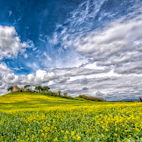 Paesaggio Rurale di Fulvio50