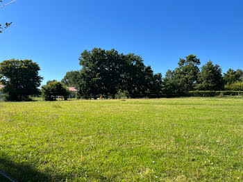 maison neuve à Saint-Didier-d'Aussiat (01)