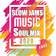 New Slow Jams Soul RnB music Download on Windows