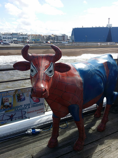 Spider Cow