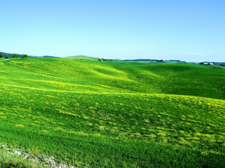 Verde mare di andrea-lxxv