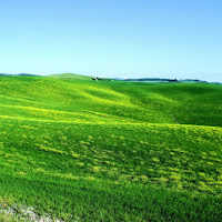 Verde mare di 