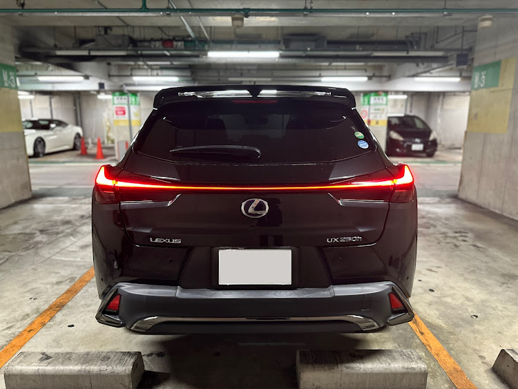 UXの真正面ショット・２月も宜しくお願いします・備忘録に関するカスタム事例の投稿画像2枚目