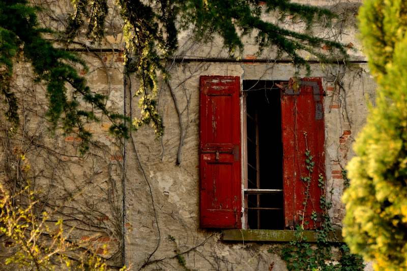 Rosso antico di gigibe