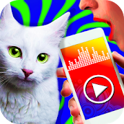 Cat translator - prank app 1.1 Icon