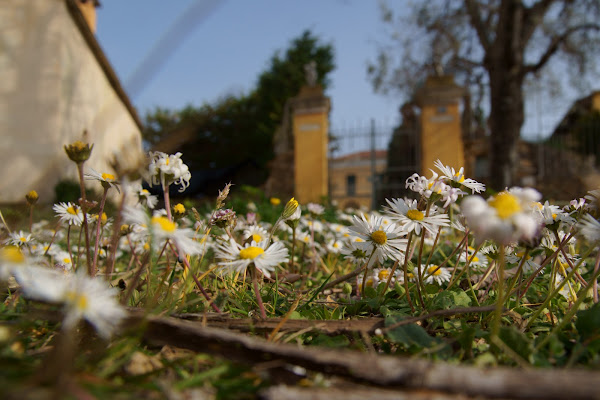 primavera in collina di malte