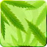 MaryJane Free Live Wallpaper icon