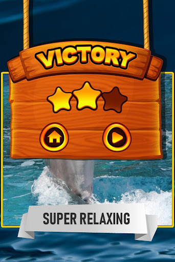 Dolphin Jigsaw Puzzle