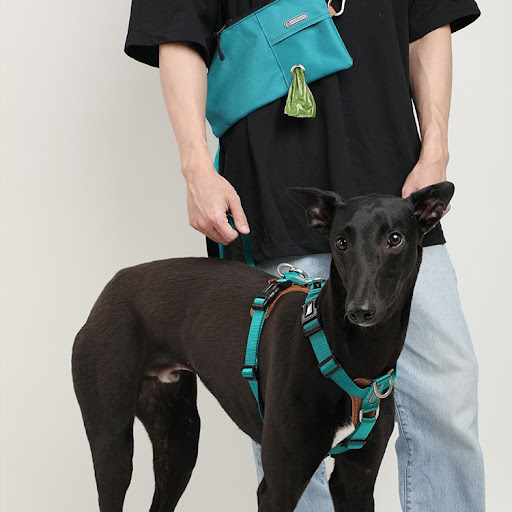 Title 4, Portable outdoor dog walking bag. Conveniently ...