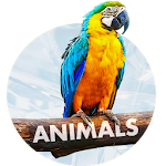 Cover Image of 下载 Animals Wallpapers 27.09.2019-animals APK