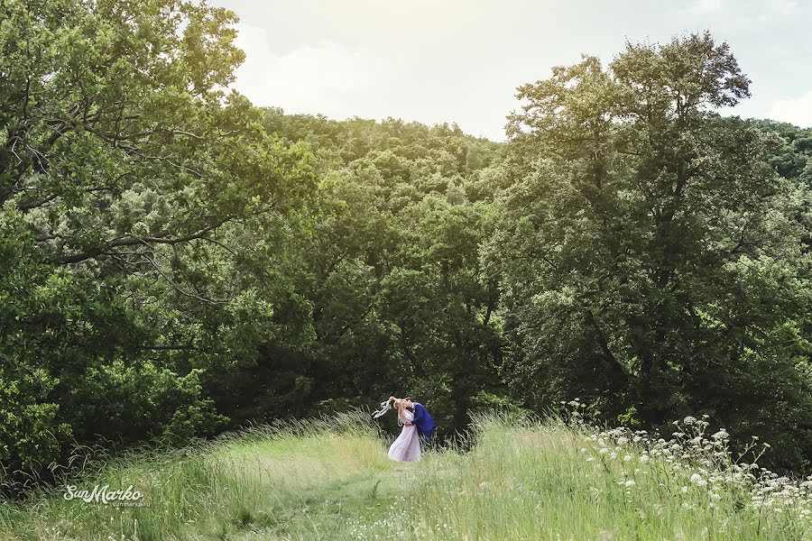 Svatební fotograf Aleksey Lifanov (sunmarko). Fotografie z 10.října 2017