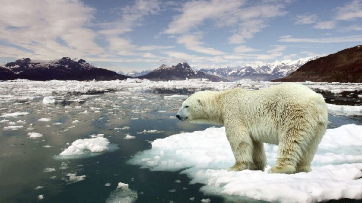 global warming photo 1