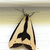 Clymene moth