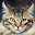 Maine Coon Cats and Kittens Wallpaper Theme