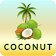 Coconut icon