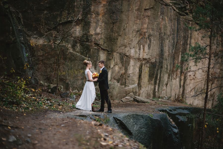 Wedding photographer Andrey Tkachenko (andr911). Photo of 26 December 2015