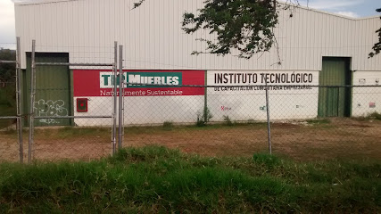 Instituto Tecnológico de Capacitación Comunitaria Empresarial