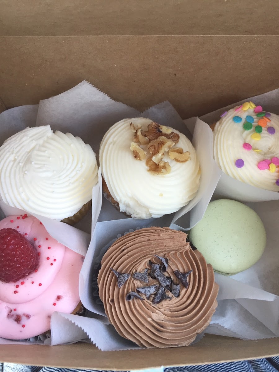 From the top: chocolate vanilla, carrot cake, birthday cake. Bottom: raspberry, double chocolate, pistachio macaron (I ate the thin mint macaron on the way home!)