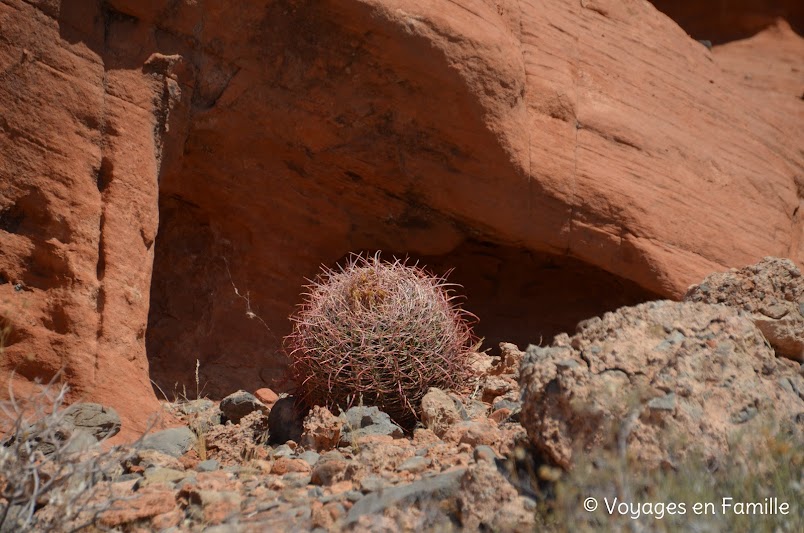 valley of fire