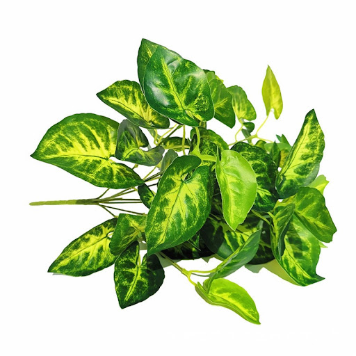 Title 37, Emulational Greenery Bonsai Large Leaf Plant Br...
