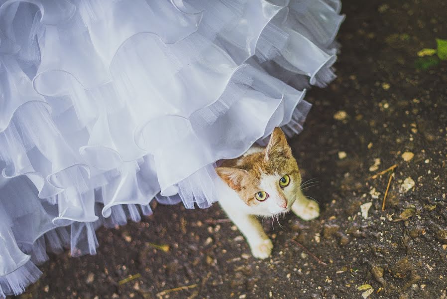 Wedding photographer Vyacheslav Sukhankin (slavvva2). Photo of 25 June 2013