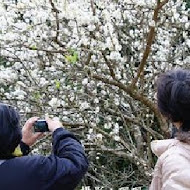 南庄碧絡角花園咖啡