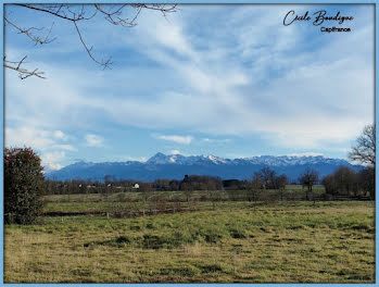 terrain à Eslourenties-Daban (64)