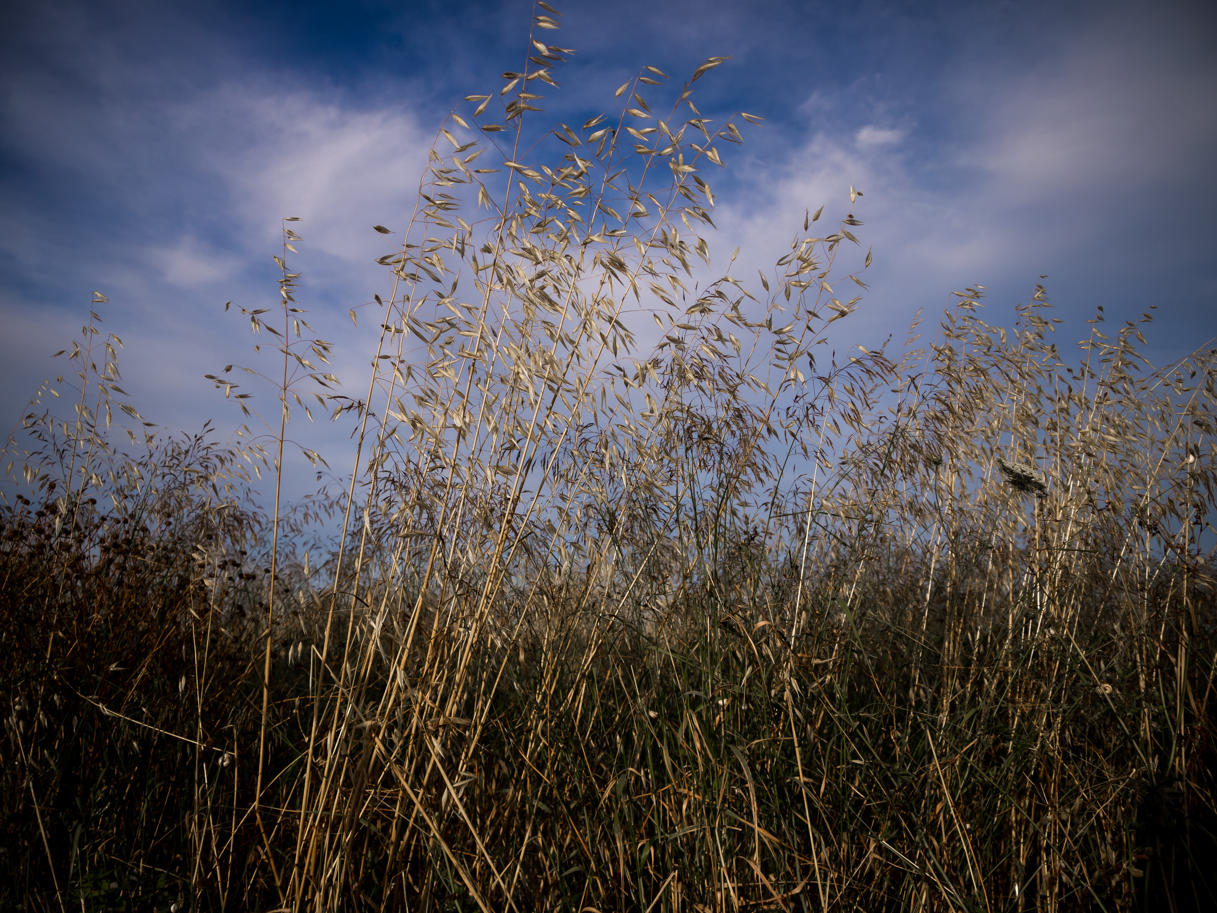 Ad un passo dal cielo di agostino_ph_paint