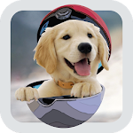 Cover Image of 下载 Pocket Puppy Dogs GO 3 APK