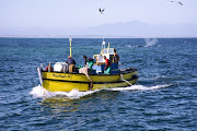 Fishermen in Port Nolloth in the Northern Cape. 