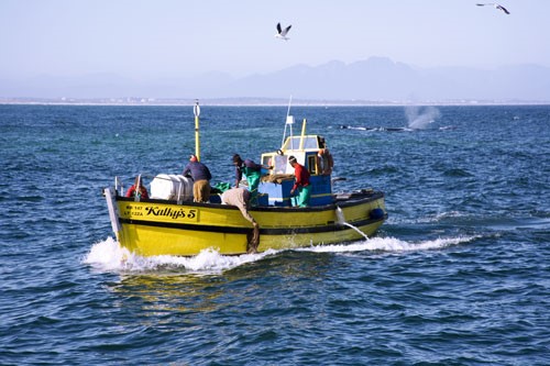 Fishermen in Port Nolloth in the Northern Cape.