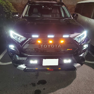 RAV4 MXAA54