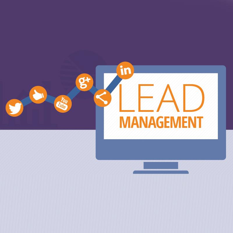 lead management 