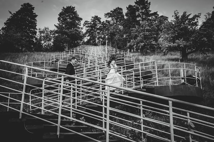 Fotógrafo de casamento Ola Skay (paradi). Foto de 2 de fevereiro 2016