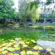 菁芳園 Tenway Garden／花園餐廳／落羽松