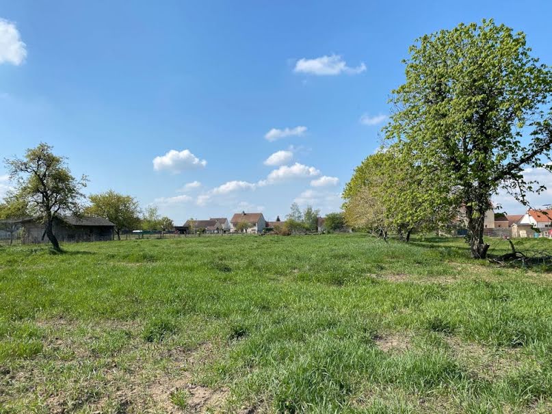 Vente terrain  1855 m² à Gevrey-Chambertin (21220), 75 000 €