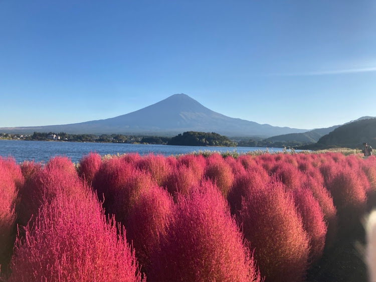 の投稿画像2枚目