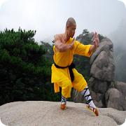 Kung FU Mastery  Icon