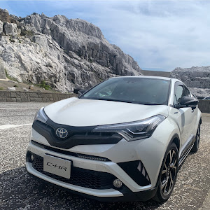 C-HR ZYX10