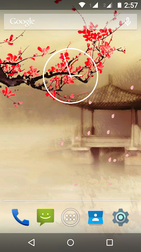 Sakura Live Wallpaper