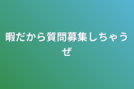 暇だから質問募集しちゃうぜ