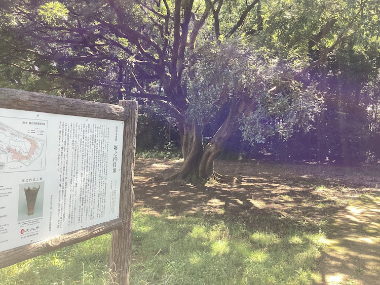 コペンの人それぞれ！生き方！価値観！物の捉え方全て違いますね！違って当然！だから世の中面白いのだと思います！・毎日の日々を大切に！二度と今日と言う日は来ません！毎日を自分なりに満足の行く生き方！最高だね！・幸せは己の心❤️で見出す物で他人から与えられる物では有りません！最高だね！・おはよう御座います！本日も楽しく心❤️豊かに過ごしましょう！最高だね！・たわい無い平凡な暮らしにこそ幸せ有り！最高だね！に関するカスタム事例の投稿画像55枚目