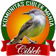 Download Kicau Ciblek For PC Windows and Mac 1.0