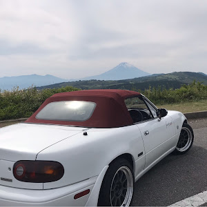 ロードスター NA8C