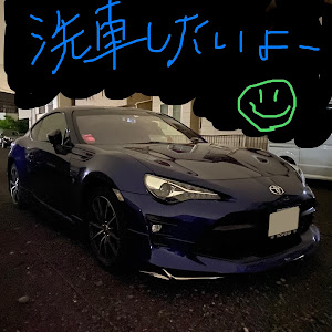 86 ZN6