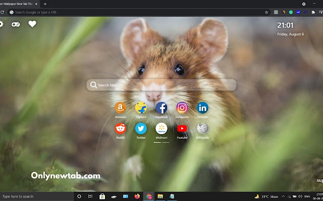 Hamster Wallpaper New Tab Theme