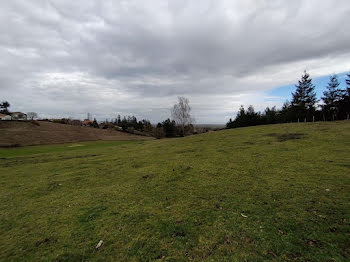 terrain à Saint-Haon-le-Vieux (42)