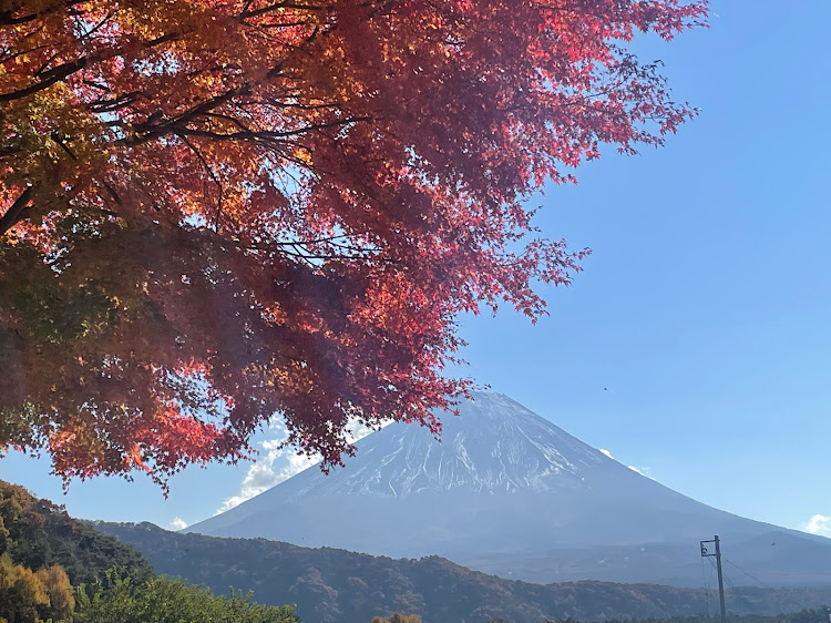 の投稿画像7枚目