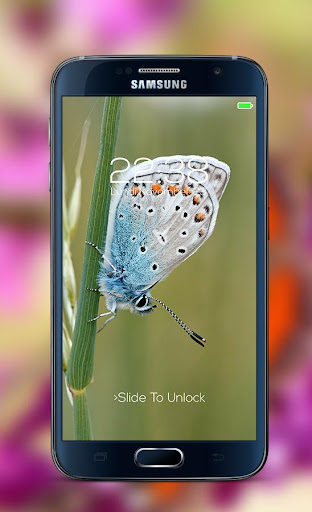 Butterfly password Lock Screen